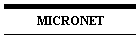 MICRONET